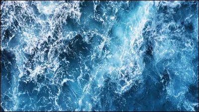 Qu'est-ce que la toundra ?