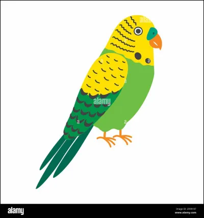 La perruche est originaire de Malaisie.