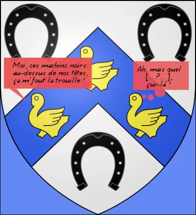 On ne le dirait pas, mais la merlette serait plutôt d'un naturel pusillanime... parfois !