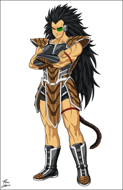 Qui est Raditz ?