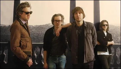 Le groupe versaillais formé de 3 membres, fondé en 1995, mais chantant en anglais, porte le nom d'un félin.