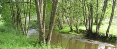 "Il voulu peindre une rivière ; elle coula hors du tableau.
Il peignit une pie grièche ; elle s'envola aussitôt... "
Une poésie "moderne" créée par :