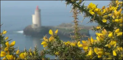"Les ajoncs éclatants, parures du granit, dorent l'âpre sommet que le couchant allume ; au loin, brillante encor par sa barre d'écume, la mer commence enfin où la terre finit."
Encore un poétique clin d'il à Dame Nature, mais pour 
qui ?