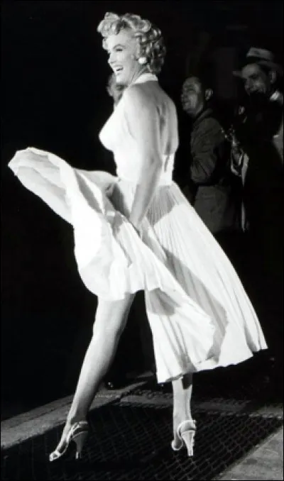 "... Elles très fières sur leurs escabeaux en l'air, regard méprisant et laissant le vent tout faire... "
Ces fraîches paroles sortent de l'imagination de :