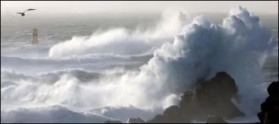 "Homme libre, toujours tu chériras la mer ! 
Ce vers est tiré d'un célèbre poème de :