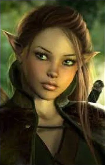 Quel est le premier elfe que Sophie rencontre ?