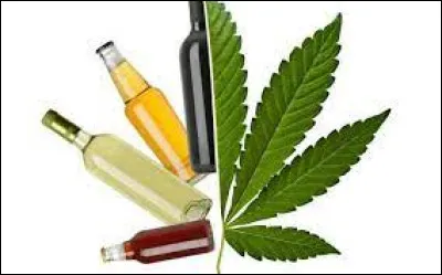 La consommation combinée de cannabis et d'alcool multiplie le risque d'accident mortel. Par combien cette combinaison multiplie-t-elle ce risque ?