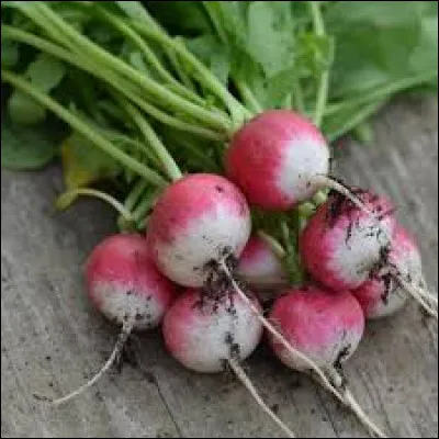 Cette invitation de dernière minute tombe plutôt bien malgré tout ! 
Pourquoi dites-vous cela ?