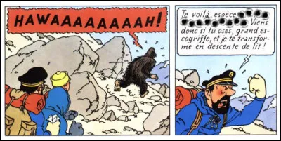 "B" comme... > Le pauvre yéti se voit lui affublé d'un très imagé ... (Complétez !)