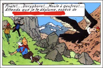 "C" comme... > De quel nom se voit qualifié ce pauvre condor des Andes ?