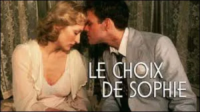 Quel auteur américain a écrit le roman "Le Choix de Sophie" ?