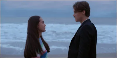 Dans le livre ou la série "L'été où je suis devenue jolie", Belly est amoureuse de l'un des fils Fisher depuis toujours. Lequel ?