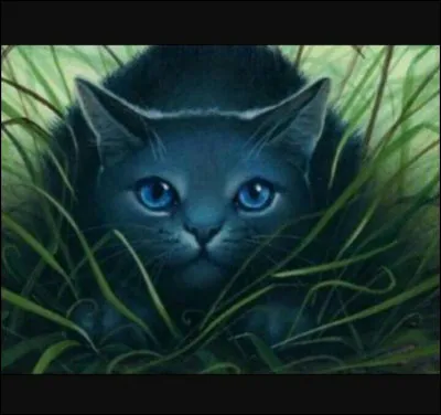 Que buvait Nuage d'Écureuil lorsqu'ils passaient devant un nid de bipèdes ?