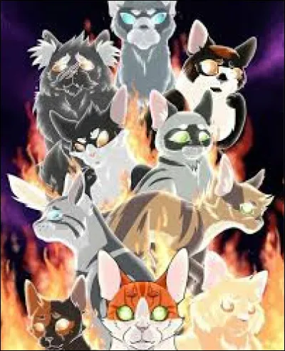 Quel est le nom du chef succédant à Étoile Filante ?