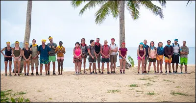 Quelle est cette émission diffusée sur TF1 ?