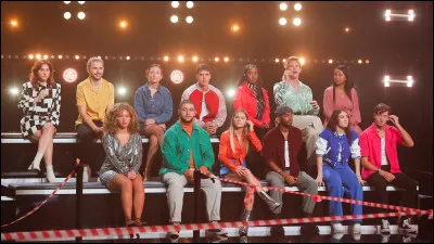 Quelle est cette émission diffusée sur TF1 ?