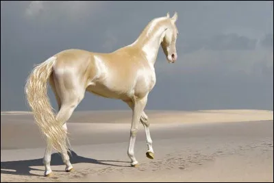 Ce cheval emblématique est un :