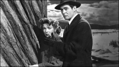 Jim Wilson est un policier chargé de l'enquête du meurtre d'un de ses collègues : quel est ce film de Nicholas Ray, sorti en 1951, avec Ida Lupino et Robert Ryan dans les rôles principaux ?
