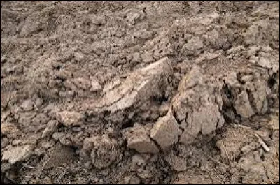 De quoi est composé un sol limoneux ?