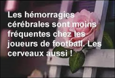 Citation : 
Quel humoriste a dit : 
''Les hémorragies cérébrales sont moins fréquentes chez les joueurs de football. Les cerveaux aussi.'' ?