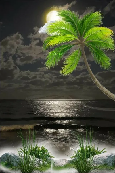 Les cocotiers écrivent des chants d'amour... quelles îles Jacques Brel mettait-il à l'honneur, par ces paroles ?