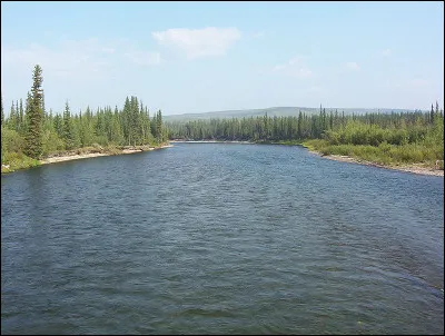 Quelle rivière du Canada, affluent du Yukon, est célèbre pour sa ruée vers l'or à la fin du XIXe siècle ?