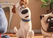 Quiz Les chiens dans les dessins animés
