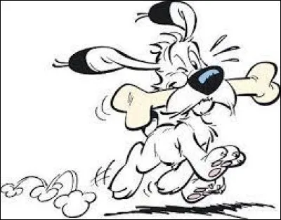 Comment s'appelle ce chien ?