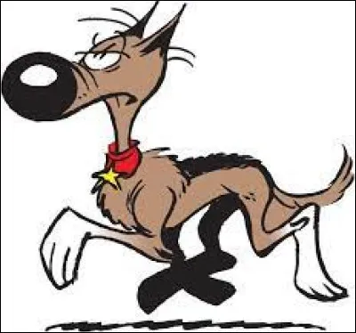 Comment s'appelle ce chien ?