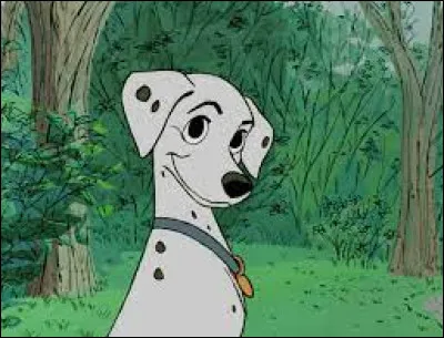 Comment s'appelle ce chien ?