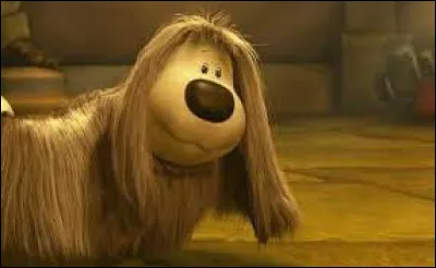 Comment s'appelle ce chien ?