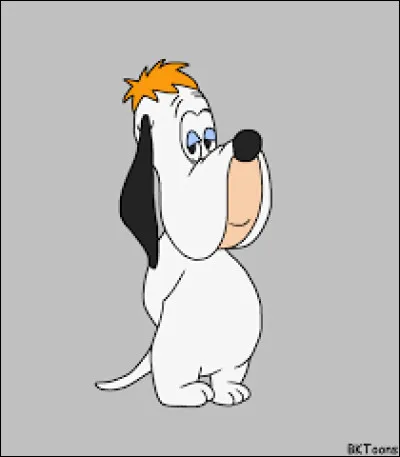 Comment s'appelle ce chien ?