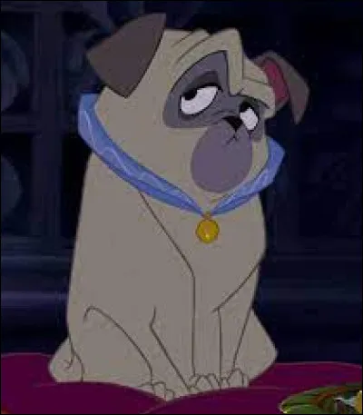 Comment s'appelle ce chien ?