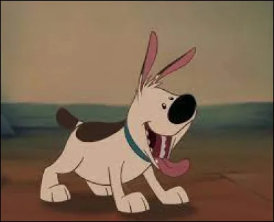 Comment s'appelle ce chien ?