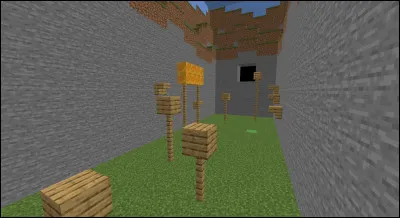 Dans un parcours, tu voudrais...