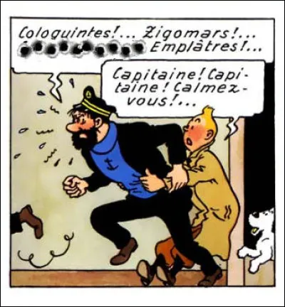 "G" comme... > Ce sont maintenant les maladroits Dupondt qui se font traiter de toutes sortes de noms plus incongrus les uns que les autres...