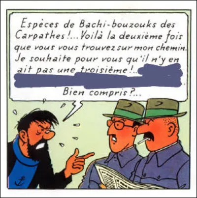 "F" comme ... > Dans la catégorie "bougre", ceux-ci sont uniques !