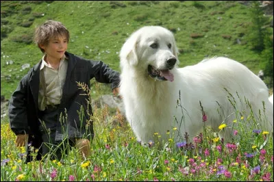 Qui est la chienne accompagnant Sébastien ?