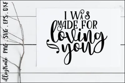 À quel groupe doit-on la chanson "I was made for lovin' you" ?