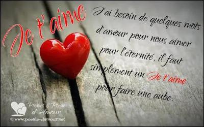 "Tu as gagné je t'aime" est un titre interprété par :