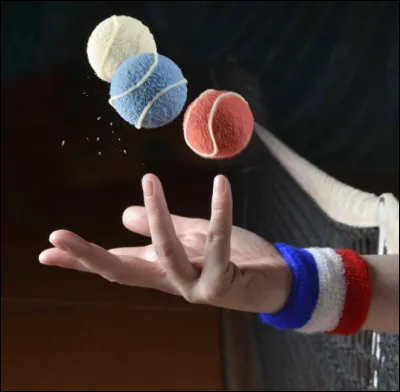 Qui est battu lors de la finale simple messieurs des Internationaux de France 1979 ?