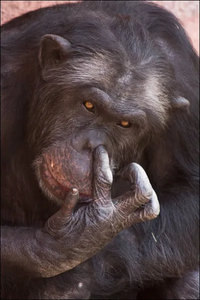 Réfléchissez, et vous terminerez ce quiz les doigts ...