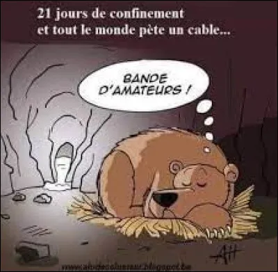 Si ce n'est pas le cas, restez calmes, ne vous comportez pas comme un ours ...