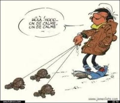 Et évitez de vous fâcher, ne soyez pas trop ...