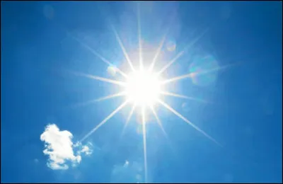 À quelle langue appartient la phrase suivante : "La luz del sol me lastimaba los ojos" ?