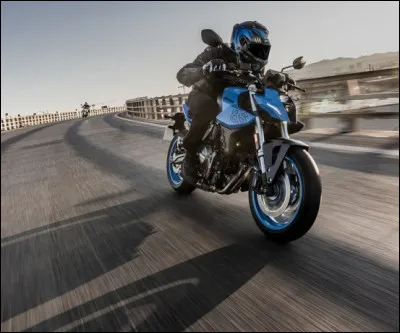 À quelle langue appartient la phrase suivante : "Ich hörte das geräusch eines motorrads" ?