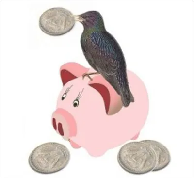 "Roupie de sansonnet" signifie :