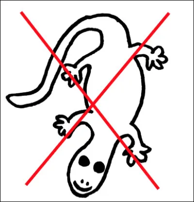 "Y'a pas de l&eacute;zard" signifie :