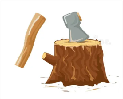 "Jeter le manche apr&egrave;s la cogn&eacute;e" signifie :