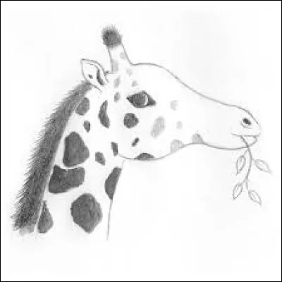 Ce dessin est le dessin dun(e)...